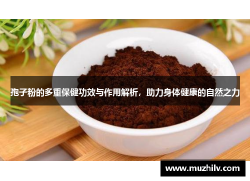 孢子粉的多重保健功效与作用解析，助力身体健康的自然之力