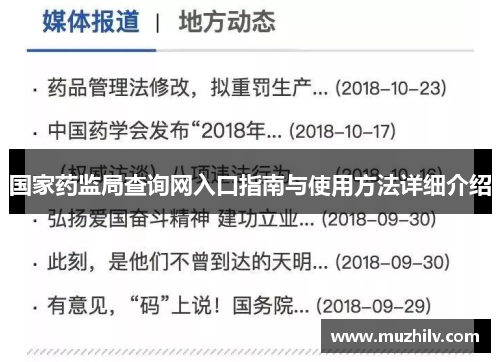 国家药监局查询网入口指南与使用方法详细介绍