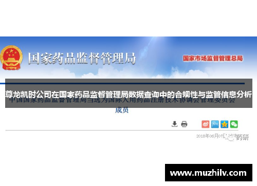 尊龙凯时公司在国家药品监督管理局数据查询中的合规性与监管信息分析