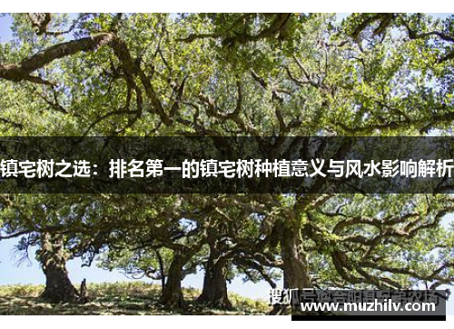 镇宅树之选：排名第一的镇宅树种植意义与风水影响解析